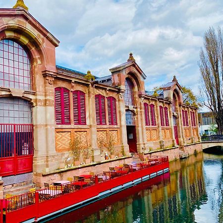 Appartement Spacieux A Colmar Avec Terrasse, Garage Privatif, Proche Centre Et Gare - Fr-1-722-2 Екстер'єр фото