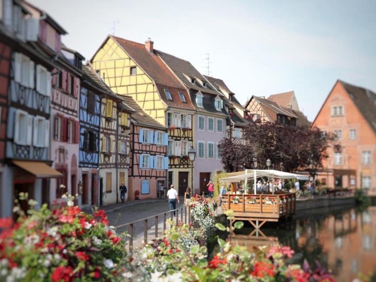 Appartement Spacieux A Colmar Avec Terrasse, Garage Privatif, Proche Centre Et Gare - Fr-1-722-2 Екстер'єр фото
